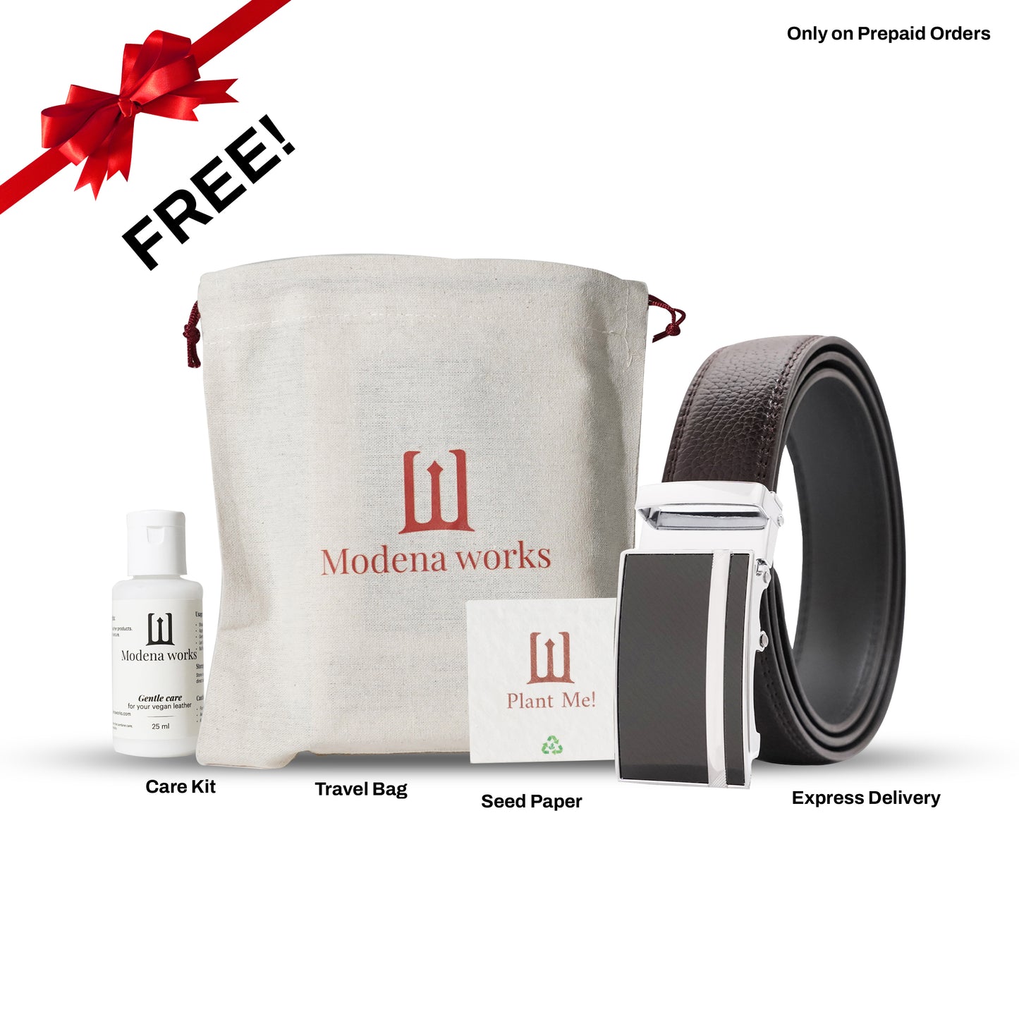 Boardroom Lines (Direct-Locking Buckle)