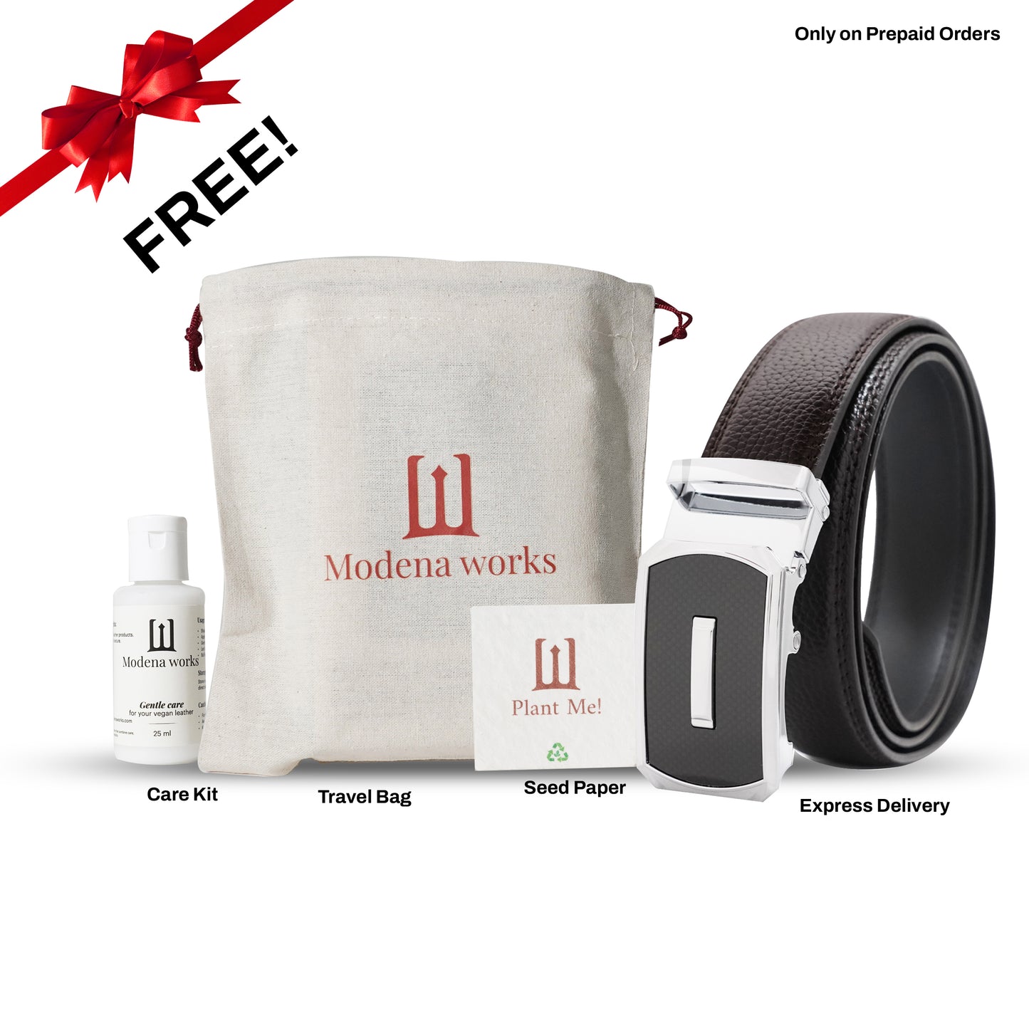 Silver Lining (Direct-Locking Buckle)